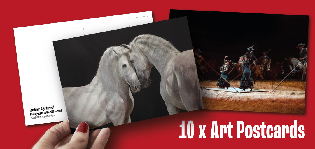 Pack of 10 Collectors Postcards