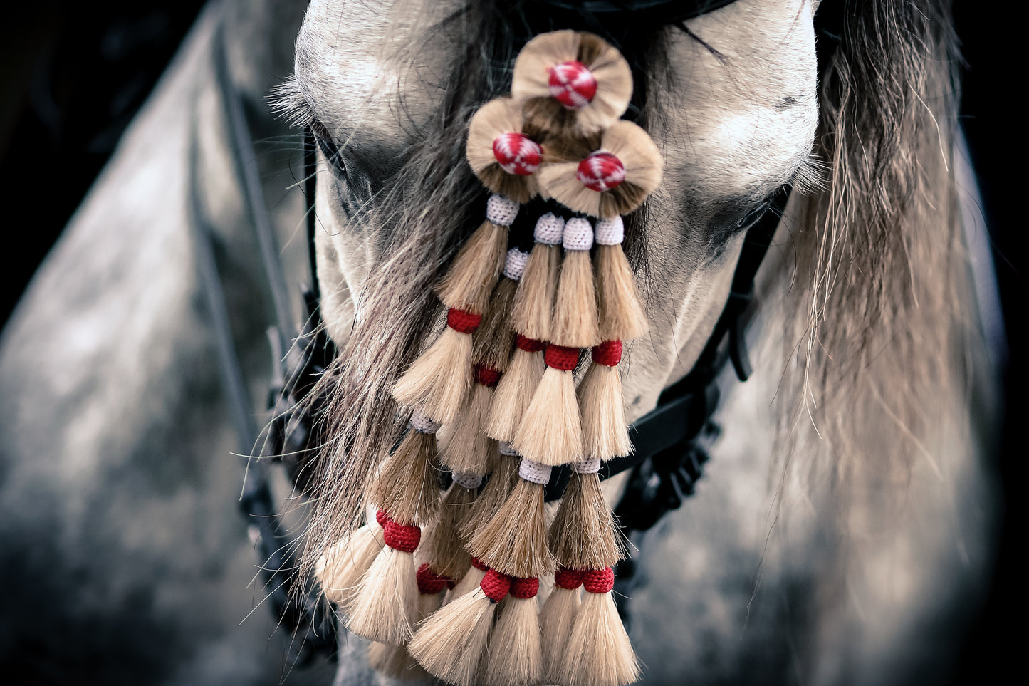"La Mosquera" Limited Edition Photographic Print