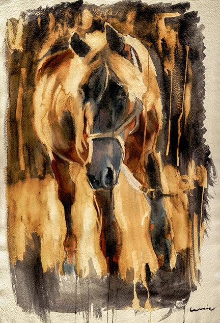 Mistrals Silver Knight - Limited Edition Art Print